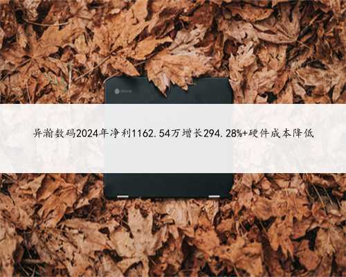 异瀚数码2024年净利1162.54万增长294.28% 硬件成本降低