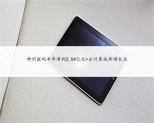 神州数码半年净利2.04亿元 云计算成新增长点