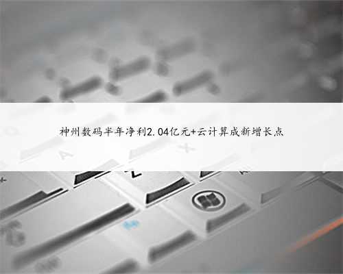 神州数码半年净利2.04亿元 云计算成新增长点