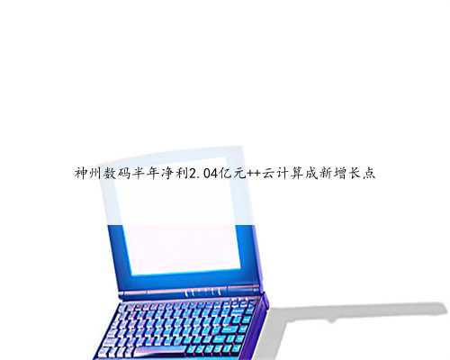 神州数码半年净利2.04亿元 云计算成新增长点
