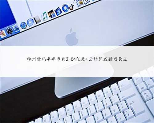 神州数码半年净利2.04亿元 云计算成新增长点