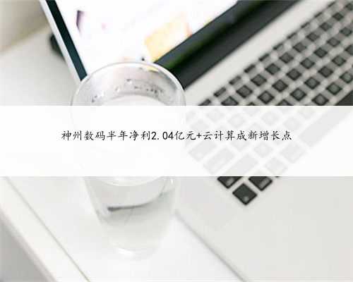 神州数码半年净利2.04亿元 云计算成新增长点