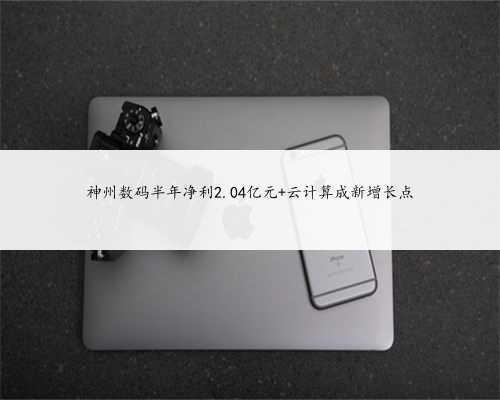 神州数码半年净利2.04亿元 云计算成新增长点
