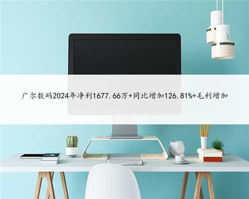 广尔数码2024年净利1677.66万 同比增加126.81% 毛利增加