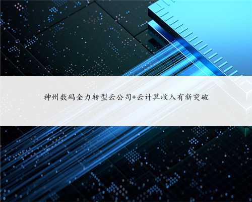 神州数码全力转型云公司 云计算收入有新突破