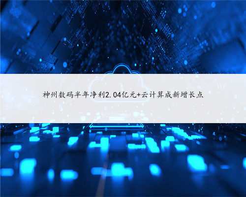 神州数码半年净利2.04亿元 云计算成新增长点