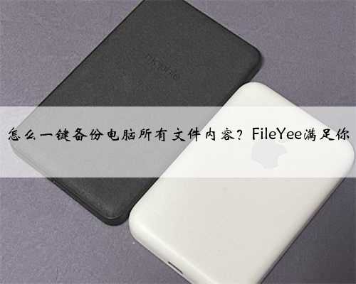 怎么一键备份电脑所有文件内容？FileYee满足你