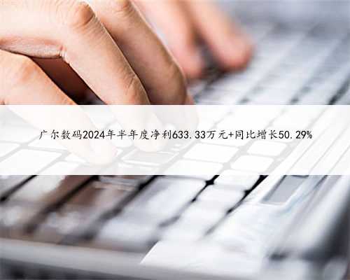 广尔数码2024年半年度净利633.33万元 同比增长50.29%