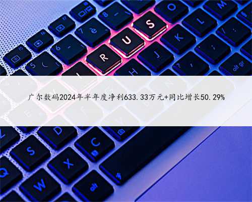 广尔数码2024年半年度净利633.33万元 同比增长50.29%