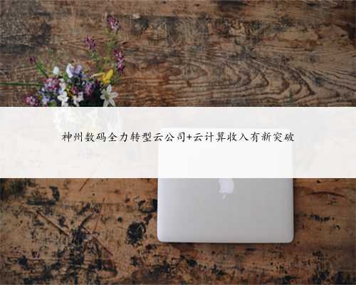 神州数码全力转型云公司 云计算收入有新突破