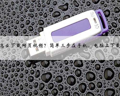 （教程）怎么下载网页视频？简单三步在手机、电脑上下载网站视频