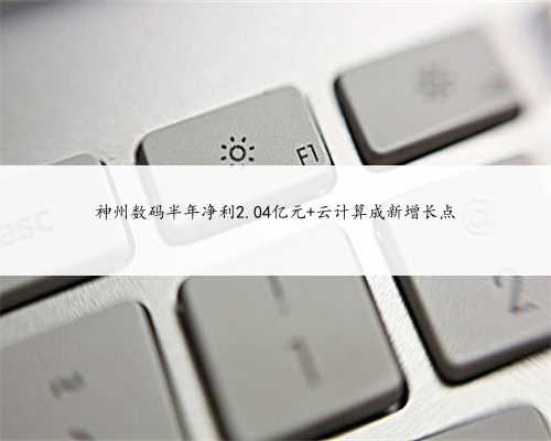 神州数码半年净利2.04亿元 云计算成新增长点