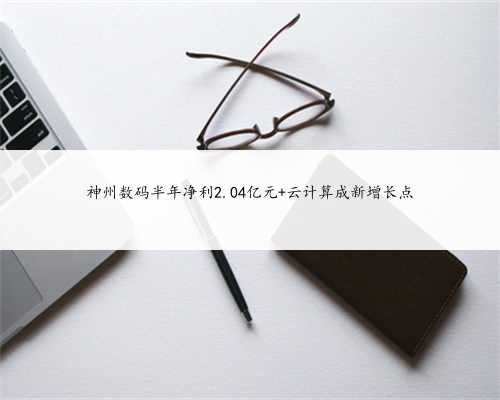 神州数码半年净利2.04亿元 云计算成新增长点