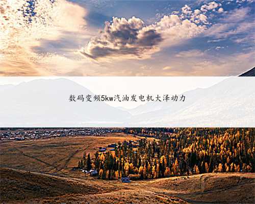 数码变频5kw汽油发电机大泽动力