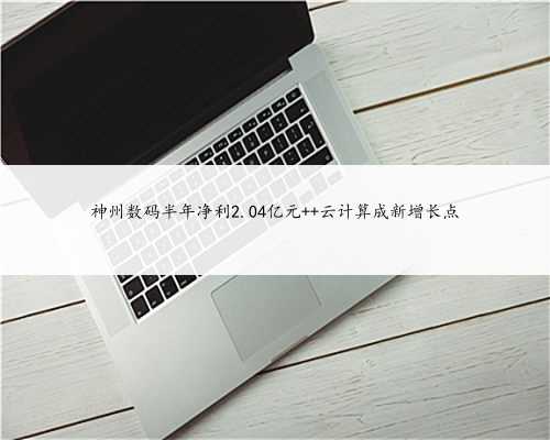 神州数码半年净利2.04亿元 云计算成新增长点