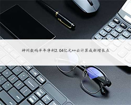神州数码半年净利2.04亿元 云计算成新增长点