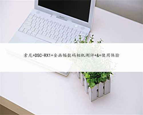 索尼 DSC-RX1 全画幅数码相机测评 & 使用体验