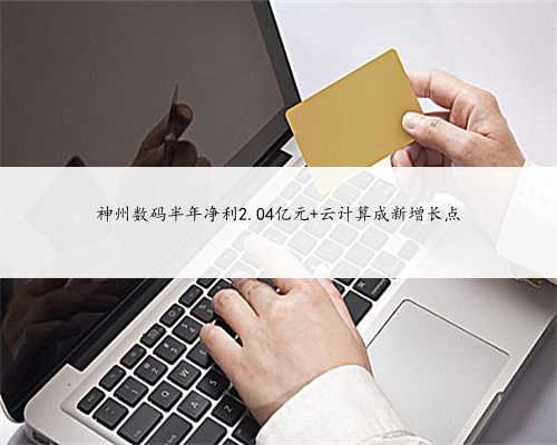 神州数码半年净利2.04亿元 云计算成新增长点