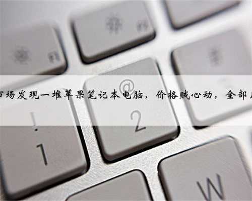 在旧货市场发现一堆苹果笔记本电脑，价格贼心动，全部几百块？