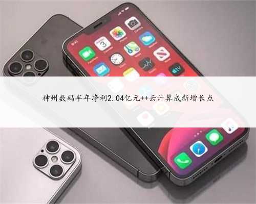神州数码半年净利2.04亿元 云计算成新增长点