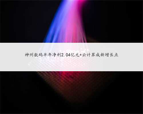 神州数码半年净利2.04亿元 云计算成新增长点