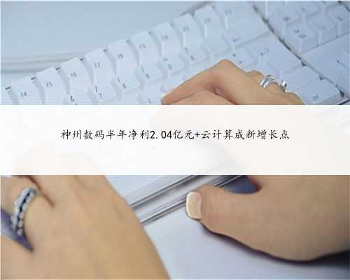 神州数码半年净利2.04亿元 云计算成新增长点