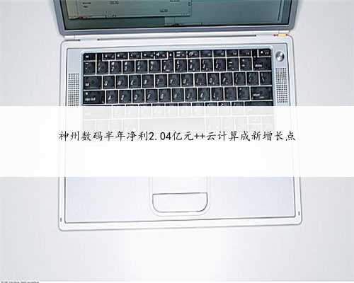 神州数码半年净利2.04亿元 云计算成新增长点