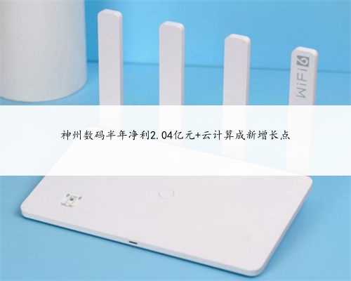 神州数码半年净利2.04亿元 云计算成新增长点
