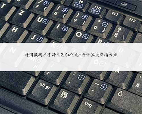 神州数码半年净利2.04亿元 云计算成新增长点