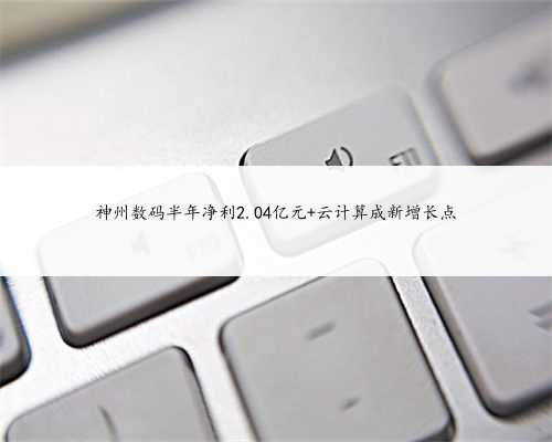 神州数码半年净利2.04亿元 云计算成新增长点