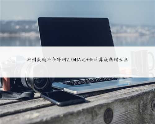 神州数码半年净利2.04亿元 云计算成新增长点