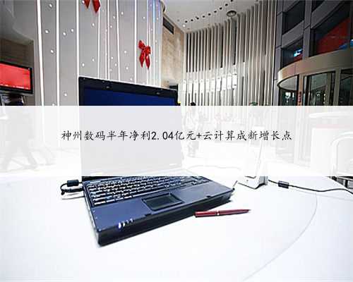 神州数码半年净利2.04亿元 云计算成新增长点