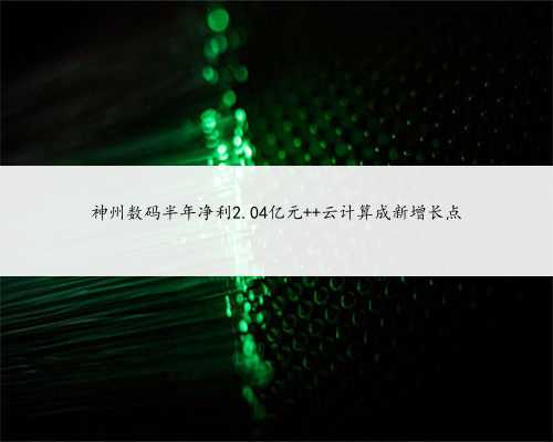 神州数码半年净利2.04亿元 云计算成新增长点