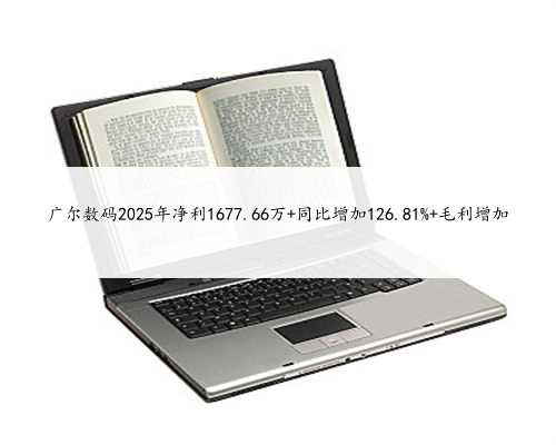 广尔数码2025年净利1677.66万 同比增加126.81% 毛利增加