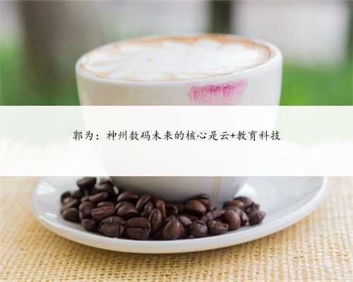 郭为：神州数码未来的核心是云+教育科技