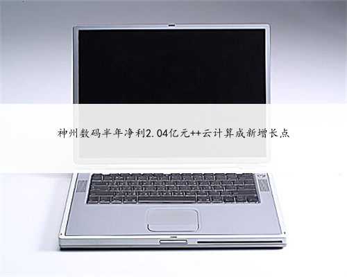 神州数码半年净利2.04亿元 云计算成新增长点