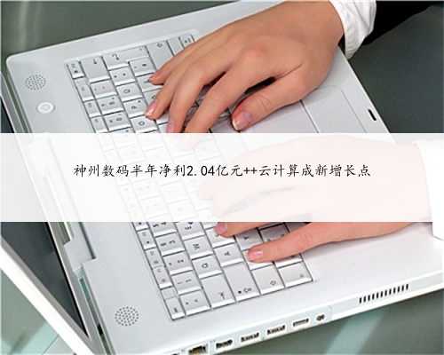 神州数码半年净利2.04亿元 云计算成新增长点