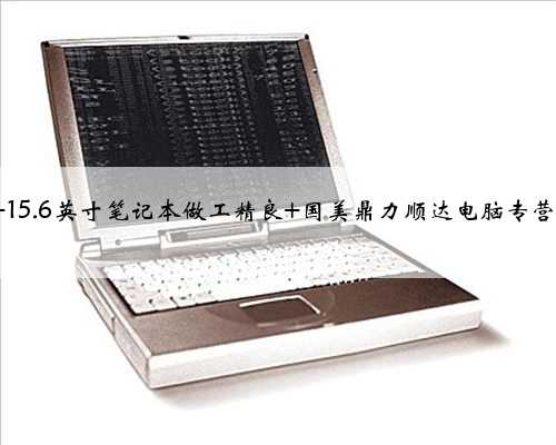 联想天逸310-15 15.6英寸笔记本做工精良 国美鼎力顺达电脑专营店3399元销售中