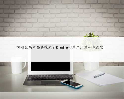 哪些数码产品易吃灰？Kindle排第二，第一竟是它！