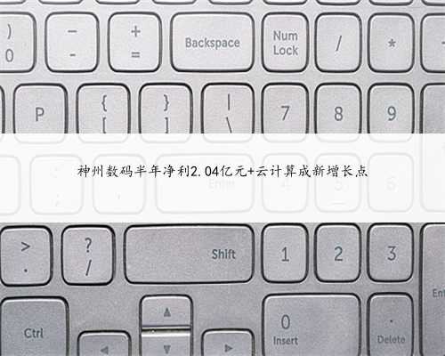 神州数码半年净利2.04亿元 云计算成新增长点