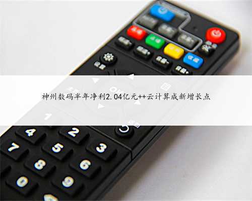 神州数码半年净利2.04亿元 云计算成新增长点