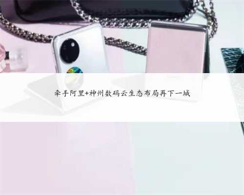 牵手阿里 神州数码云生态布局再下一城
