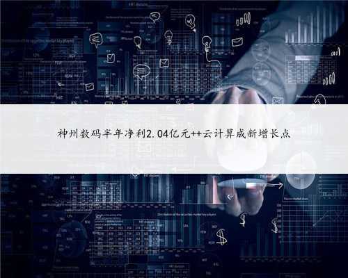 神州数码半年净利2.04亿元 云计算成新增长点