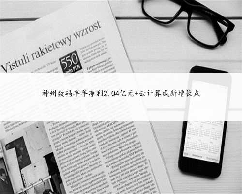 神州数码半年净利2.04亿元 云计算成新增长点