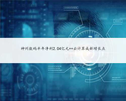 神州数码半年净利2.04亿元 云计算成新增长点