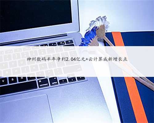 神州数码半年净利2.04亿元 云计算成新增长点