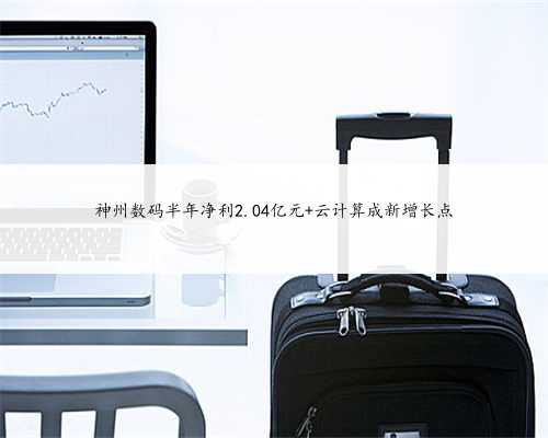 神州数码半年净利2.04亿元 云计算成新增长点