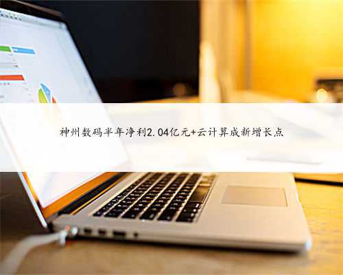 神州数码半年净利2.04亿元 云计算成新增长点