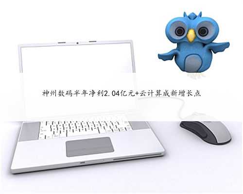 神州数码半年净利2.04亿元 云计算成新增长点