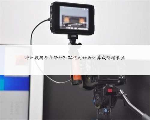神州数码半年净利2.04亿元 云计算成新增长点